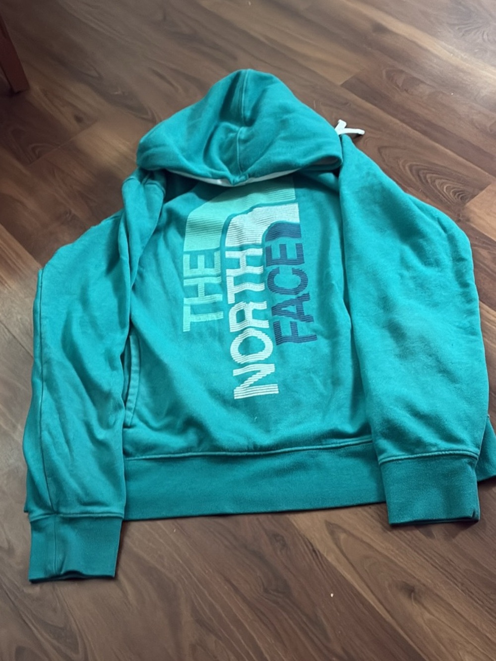 The North Face Men's Teal Zip-Up Hoodie Sweater with Vertical Logo